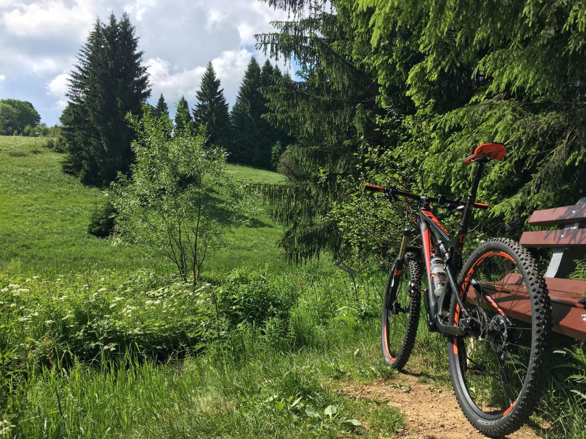 Zur Bergwiese 5 Sterne Appartementhaus Furstenau  Zimmer foto
